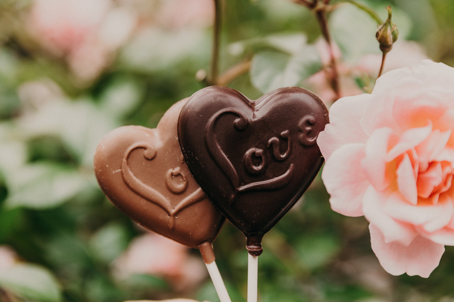Chocolate hearts on sticks with 'love' engraving in front of a pink flower.