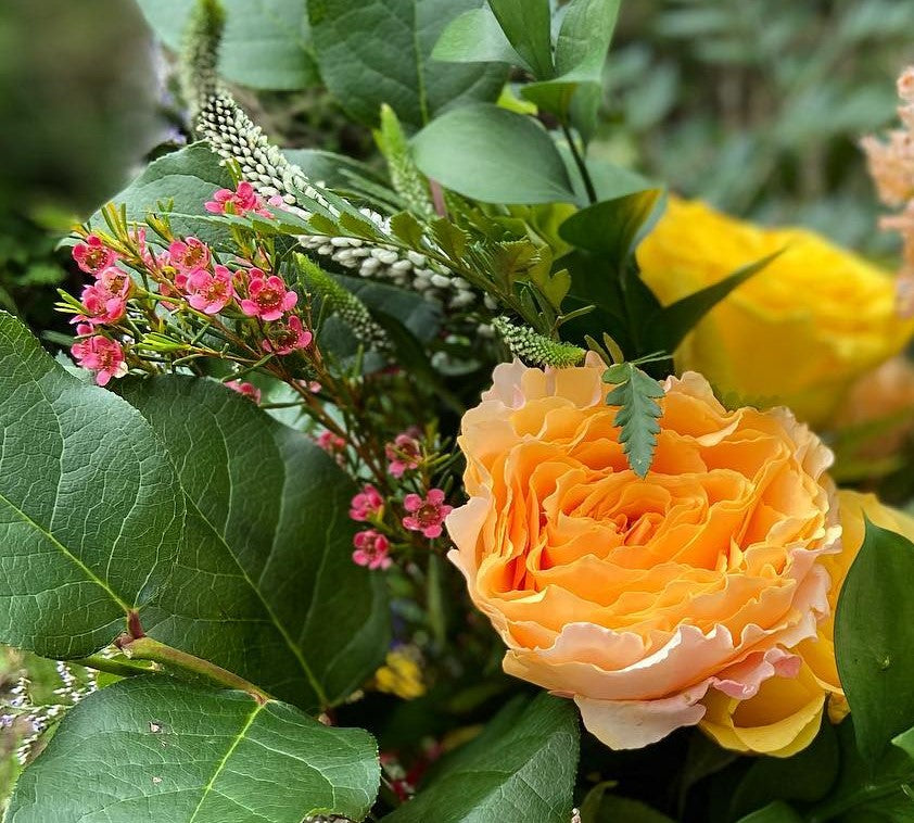Yellow rose and pink wax flower with greenery.